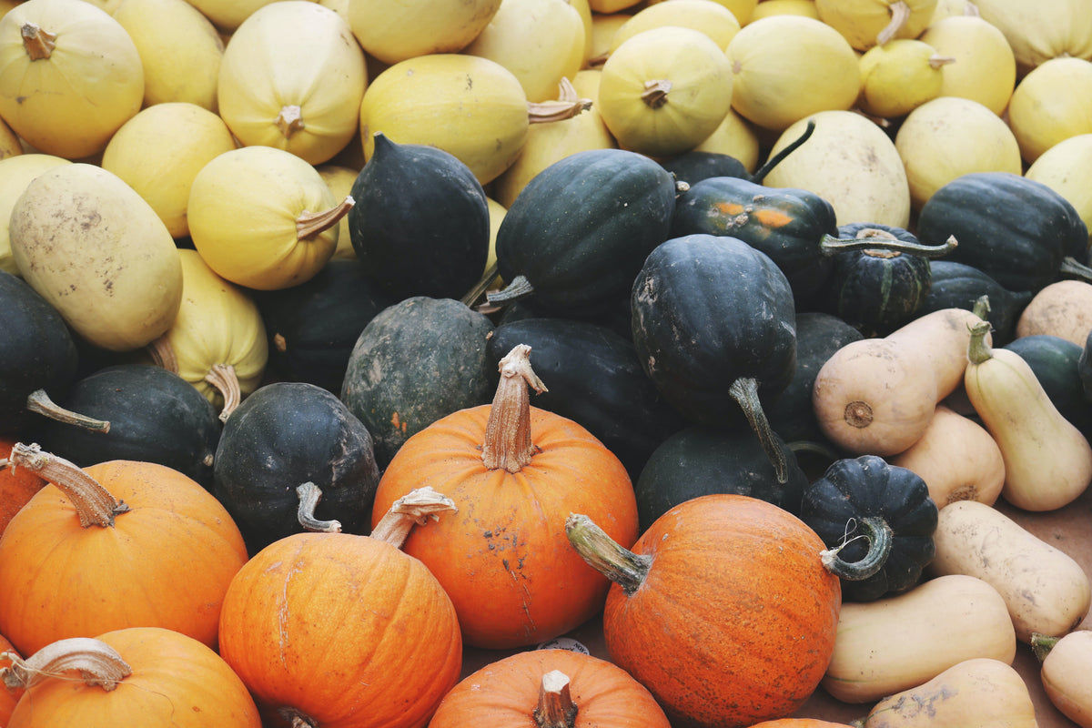 Ingredient Spotlight: Winter Squash